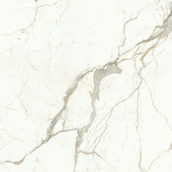 Керамогранит Marvel Calacatta Prestigio 120x120 Matt (A4Q5) 