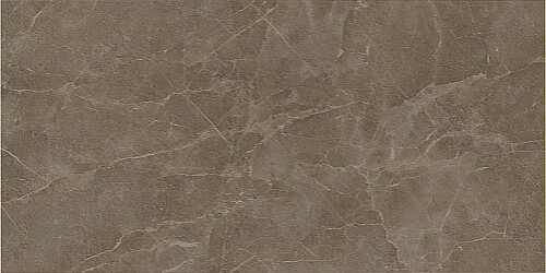 S.S. Grey (600010001975) Керамическая плитка