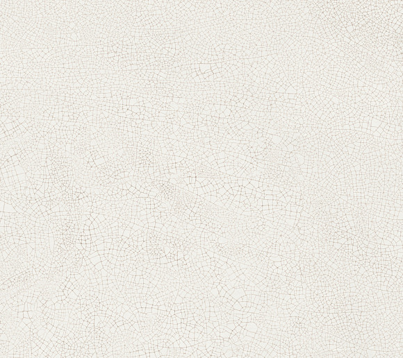 Плитка Vivia Crelis Off-White 50x120 Lucido (HHIW)