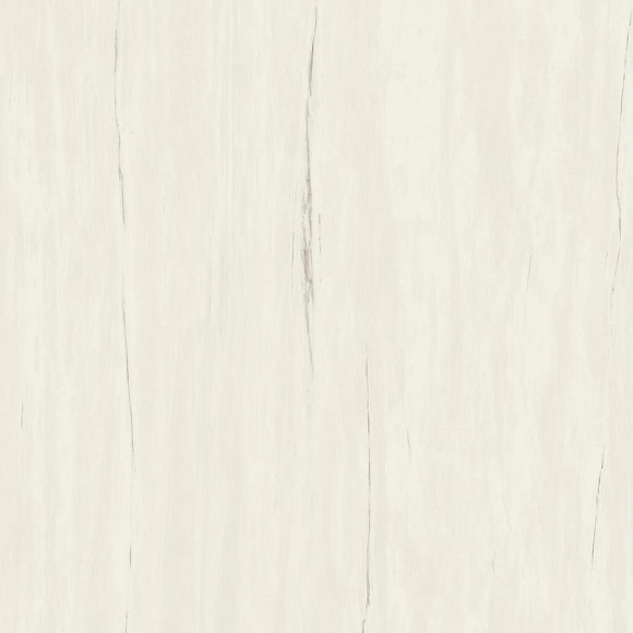 Керамогранит Marvel Bianco Dolomite 120x120 (A204) 
