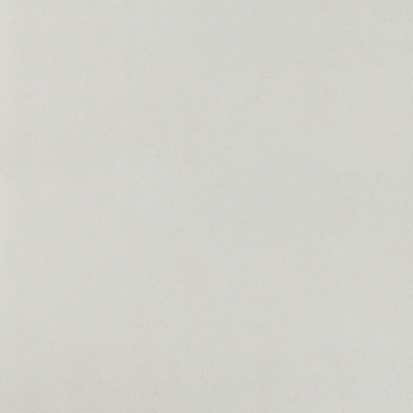 Arkshade White 120x120 (AUG1) Керамогранит
