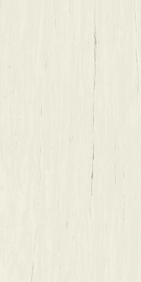Керамогранит Marvel Bianco Dolomite 120x240 Lappato (AZTV) 