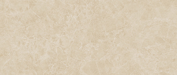 Плитка Marvel Next Breccia Cream Field 50x120 (HGRC)
