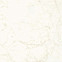 Керамогранит Marvel Calacatta Delicato 120x120 Lappato (A4Q8) 