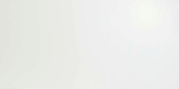 Плитка Solid White Matt 30,5x56 (9D5S) 
