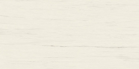 Керамогранит Marvel Bianco Dolomite 160x320RT Lappato (AO5X)  