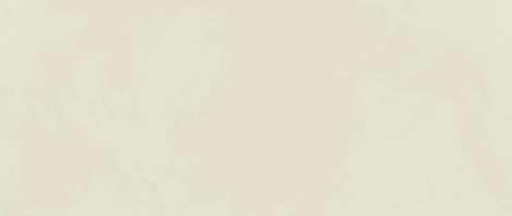 Плитка Boost Color Mint 50x120 (AKM5) 