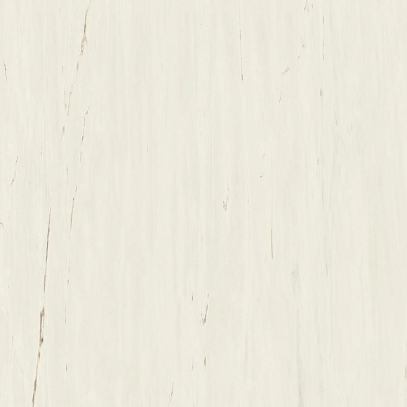 Керамогранит Marvel Bianco Dolomite 120x120 (A204) 