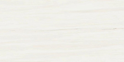 Marvel Bianco Dolomite 40x80 (9MSB) Керамическая плитка