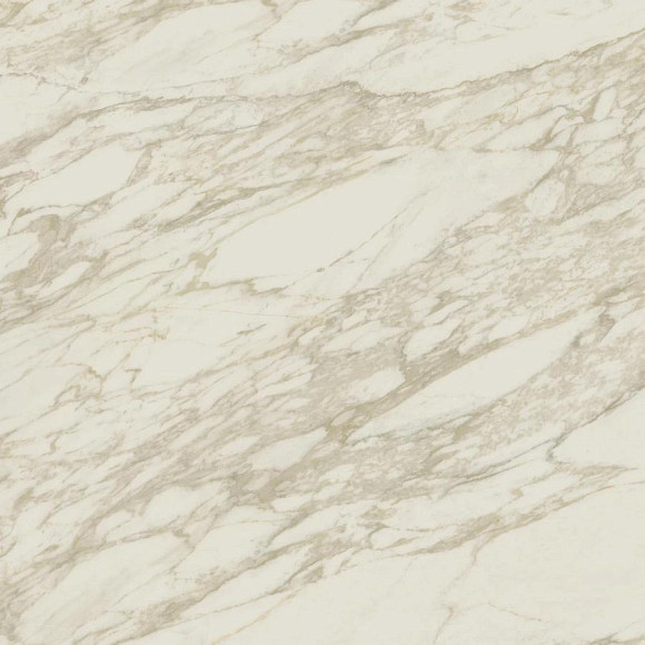 Керамогранит Marvel Royal Calacatta 120x120 Lappato (AENP) 