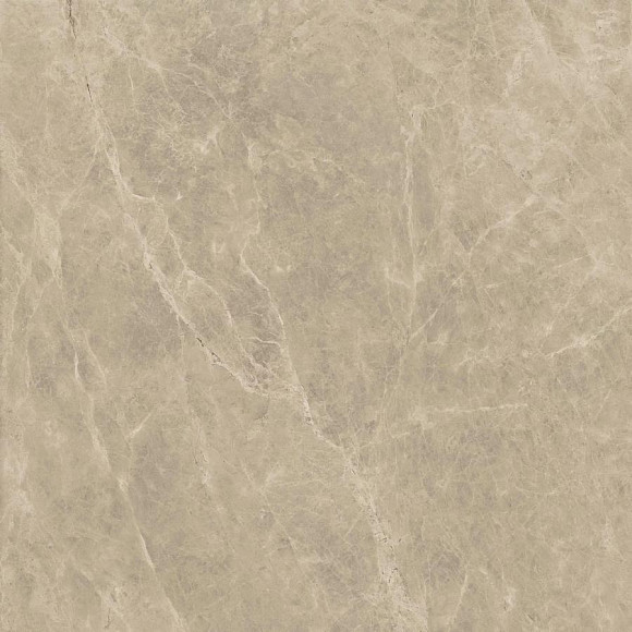 Керамогранит Marvel Elegant Sable 120x120 Lappato (AENK) 