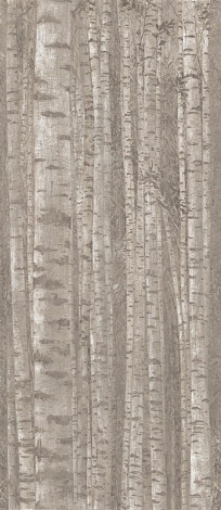 Декор Boost Pro Grove 120x278 (A0LW) 