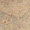 Aix Beige 22,5x45,3 Strutturato (APST) Керамогранит