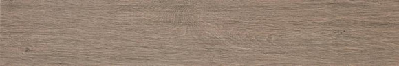 Etic Rovere Grigio 15x90 (AJ69) Керамогранит