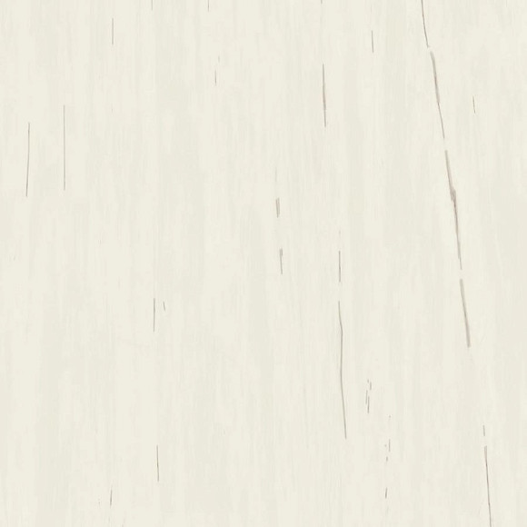Керамогранит Marvel Bianco Dolomite 120x120 (A204) 