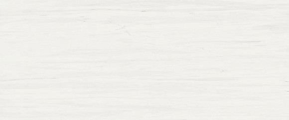 Плитка Marvel Bianco Dolomite 50x120 (A4S4) 