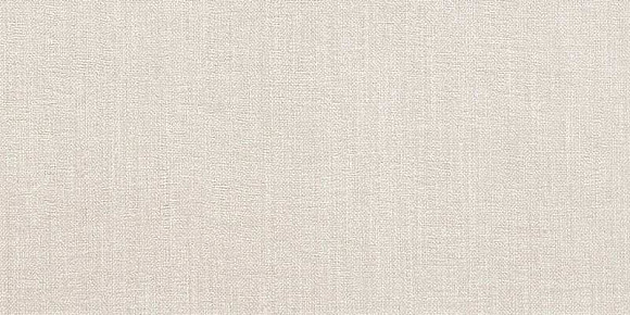 Room White 30x60 (D124) Керамогранит