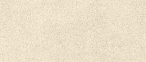 Плитка Boost Expression Grain Shell 50x120 