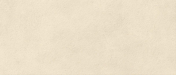 Плитка Boost Expression Grain Shell 50x120