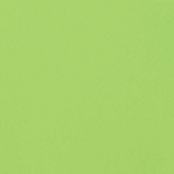 Greencolors Lime 20x20 (2I0O) Керамогранит