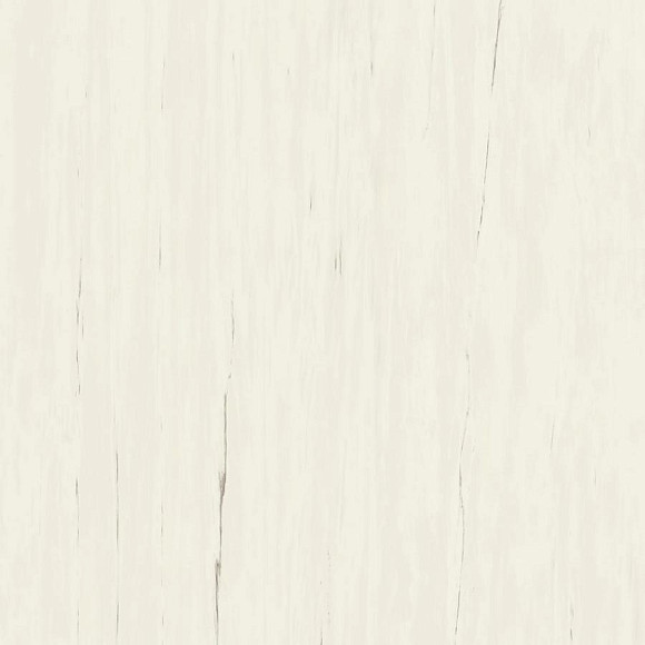 Керамогранит Marvel Bianco Dolomite 120x120 (A204) 
