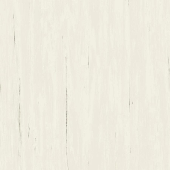 Керамогранит Marvel Bianco Dolomite 120x120 (A204) 